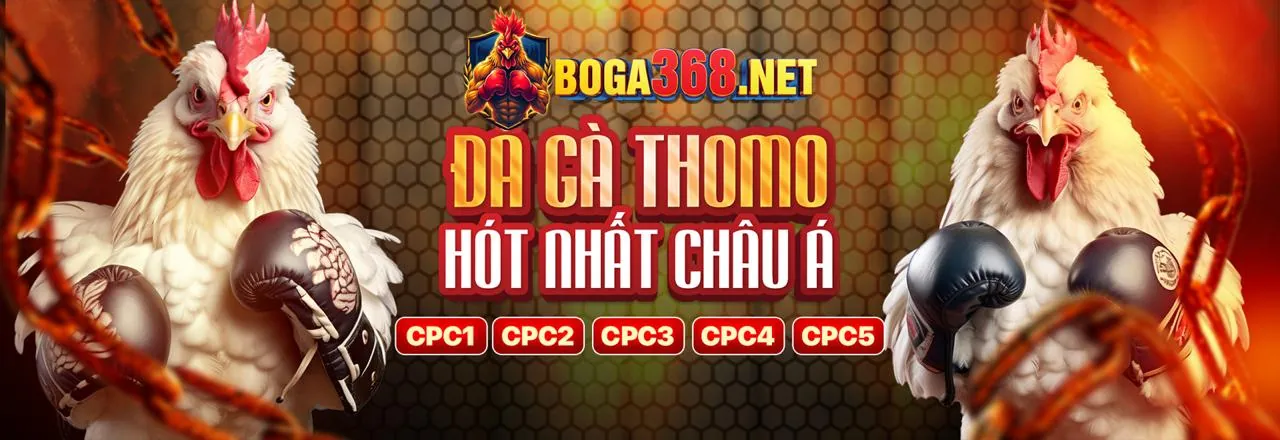 Banner tải VuaClub